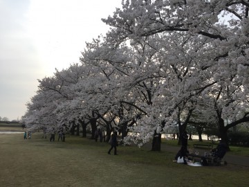 富山　家具