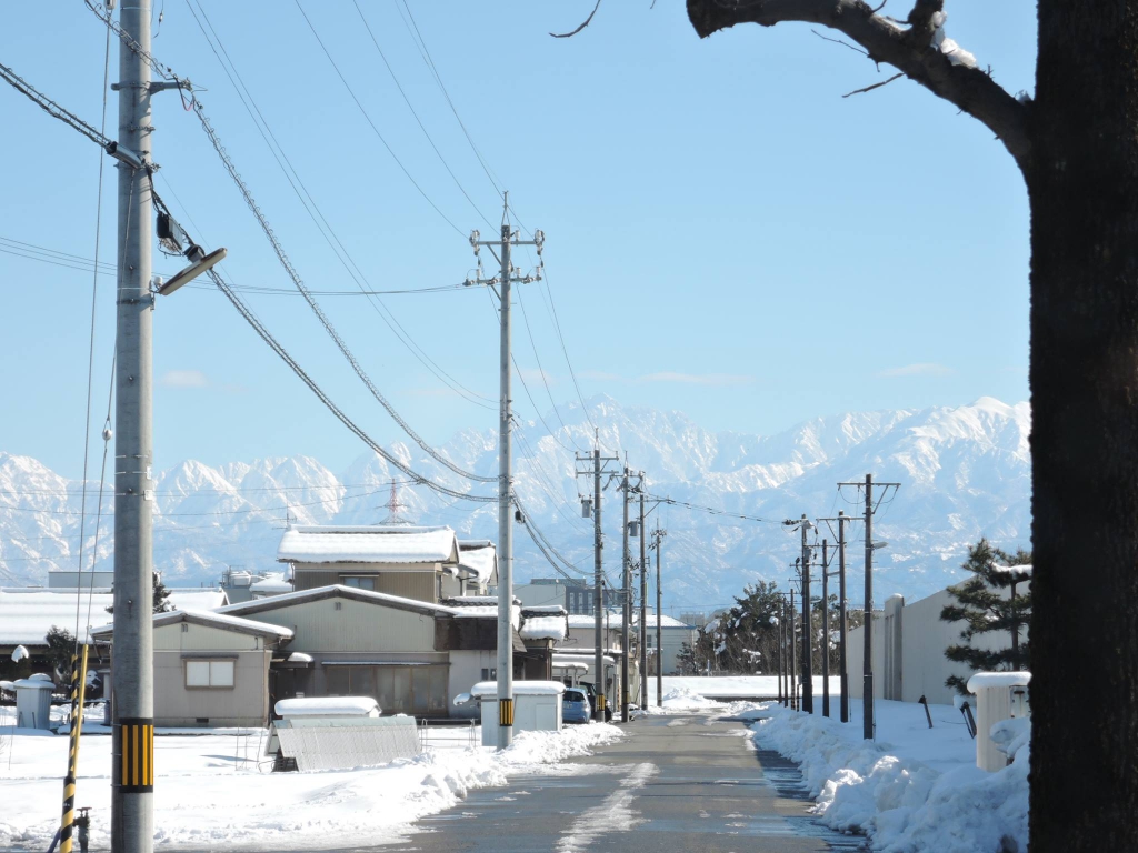 涼しくなりましたか？