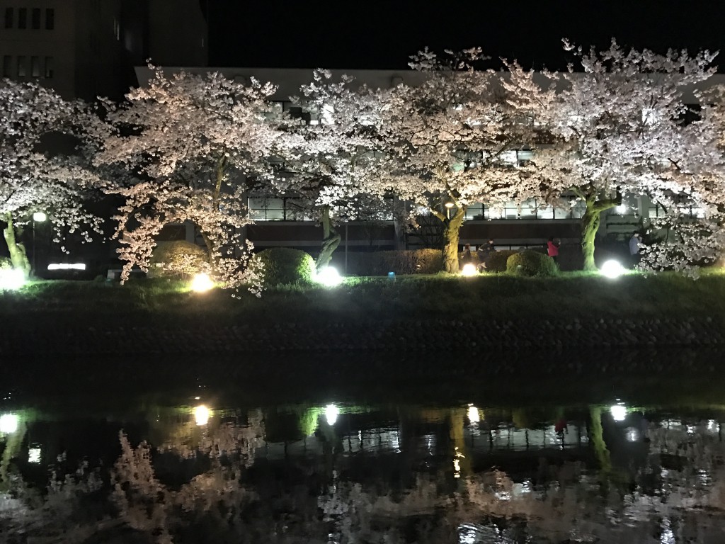 富山　家具　桜　