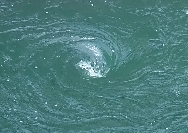 台風の目