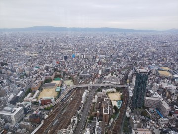 大阪平野