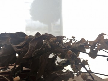 富山　家具