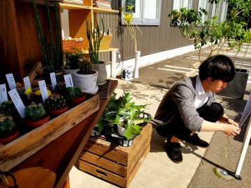 富山　家具　LOWVE　グリーン　観葉植物