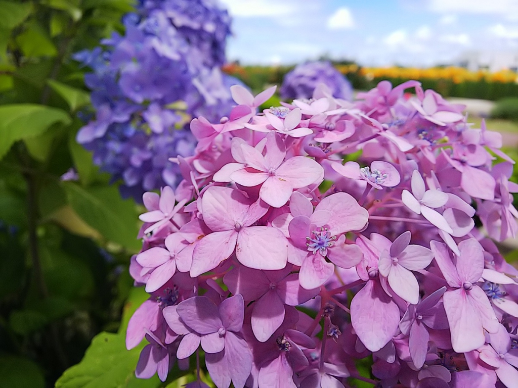 夏のインテリア