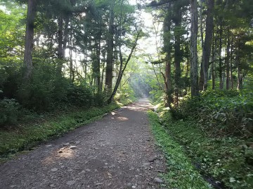 戸隠神社参道