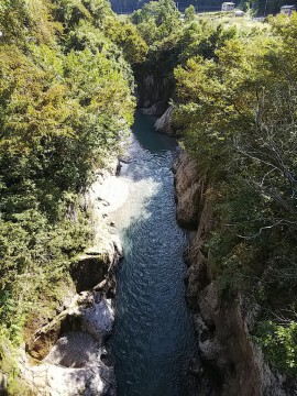 癒やしの川