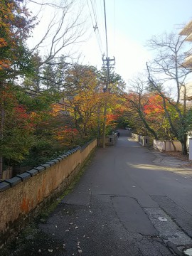 紅葉　散歩道