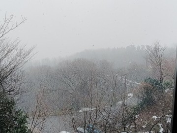 雪景色