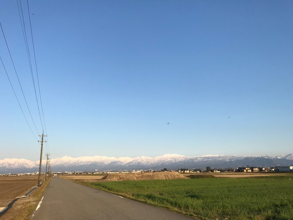 ずっと眺めてました。