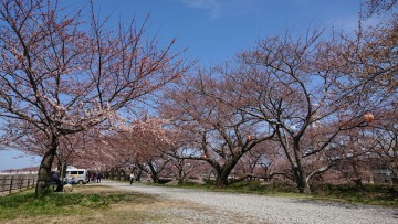 富山　家具