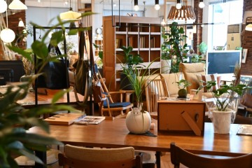 ミヤモト家具　観葉植物　おしゃれ　富山　おすすめ