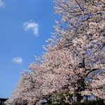 ミヤモト家具に入ると毎日笑って過ごせる自分になれます！