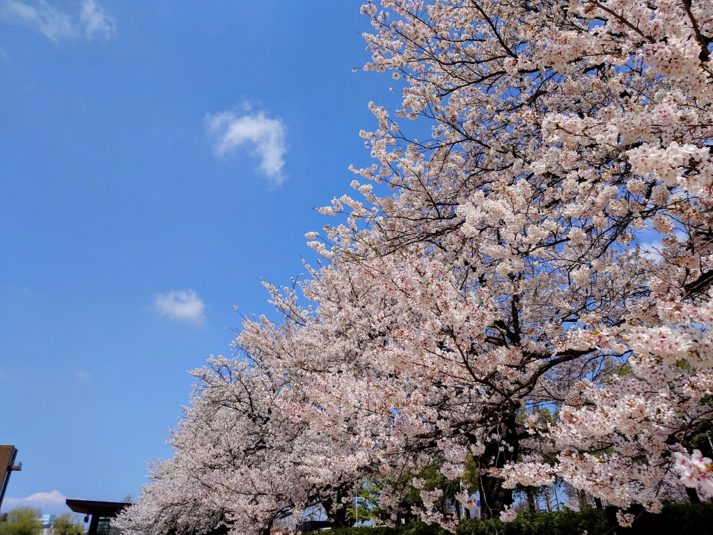 ミヤモト家具に入ると毎日笑って過ごせる自分になれます！