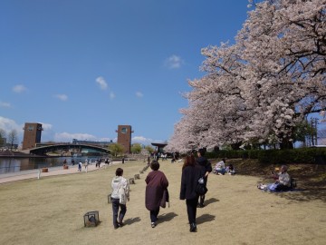 ミヤモト家具　おしゃれ　家具