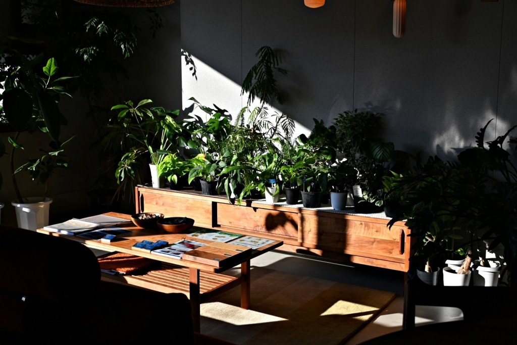 家具　RENSEY　グリーン　金沢