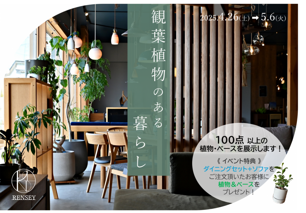 家具だけでなく植物にも熱いミヤモト家具！！
