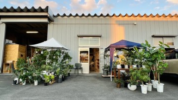富山　観葉植物　インテリアグリーン　家具