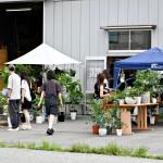 グリーン大集結！【本日より開催】OUTLET STORE 自由開放