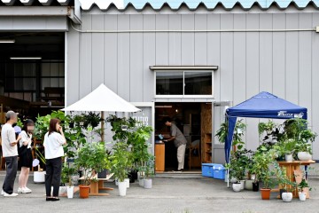植物　富山　インテリア　