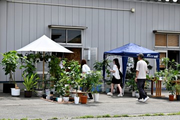 植物　富山　インテリア　