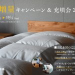 【羽毛増量】あのイベントが帰ってきた!!