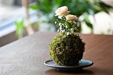 富山 家具 レンセイ おしゃれ-2