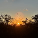 新年！今年もよろしくお願い致します！