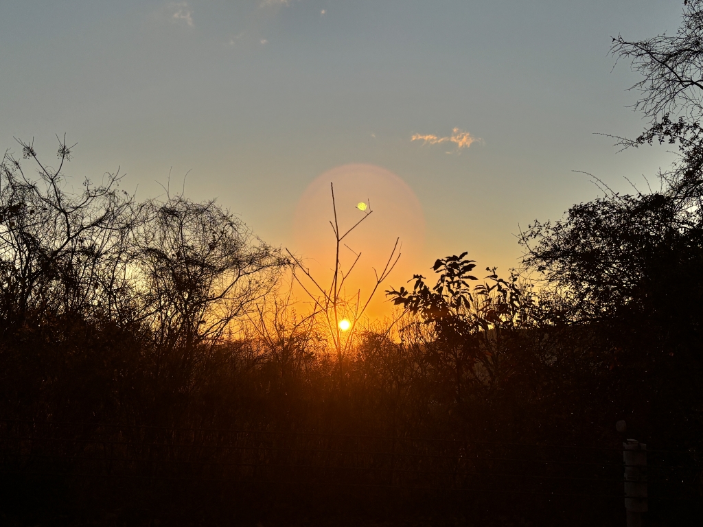 新年！今年もよろしくお願い致します！