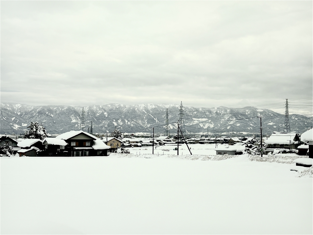 レンタル案件 担当溝渕!