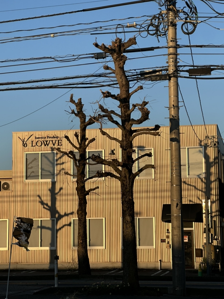 家具・おしゃれ・ミヤモト家具