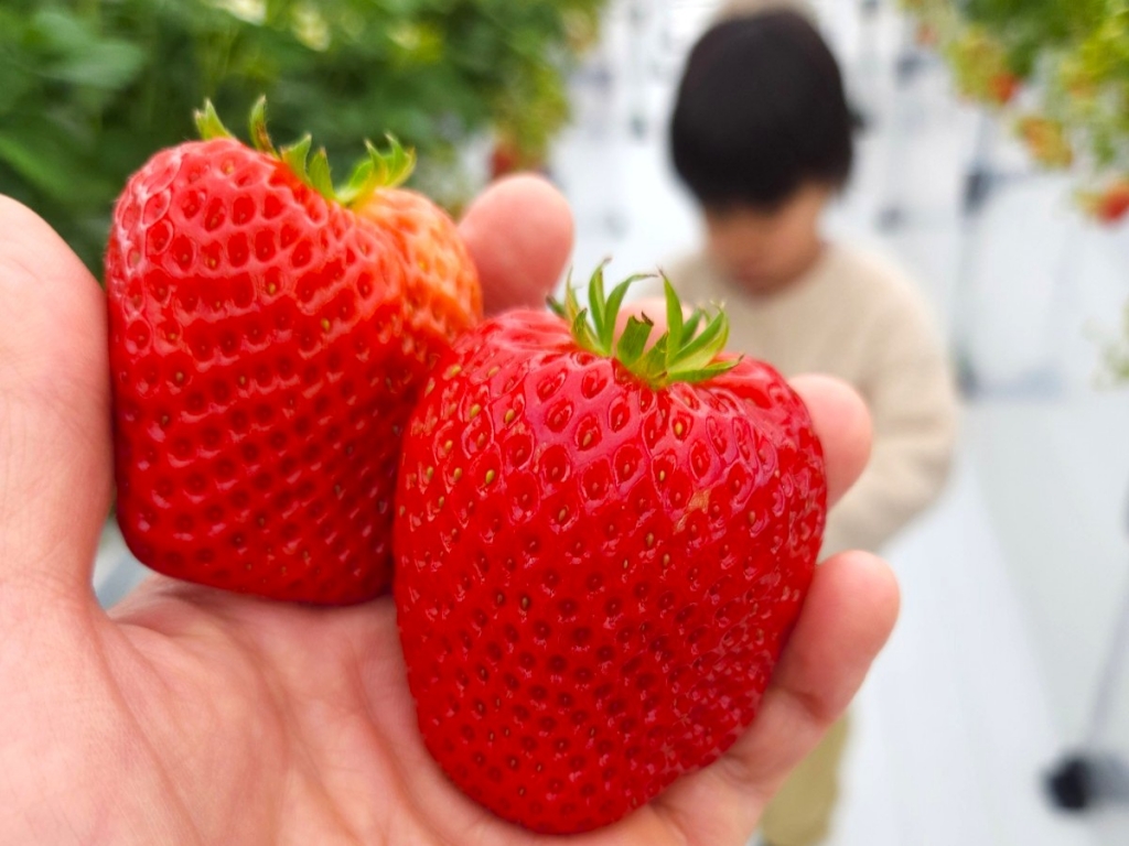 リビングにまつわるエトセトラ。