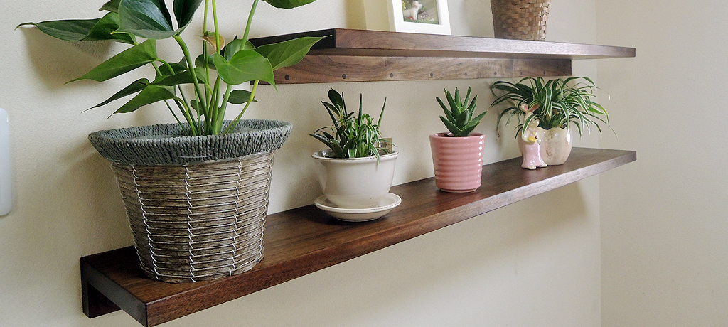 Display Shelf