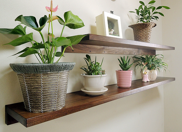 Display Shelf